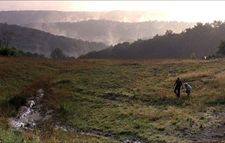 The hills of West Virginia in Little Accidents: "Appalachia has such beautiful light and actually you lose light very quickly…"